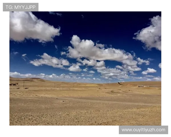 开云体育备用账号注册与登录详细教程,解决用户在使用过程中遇到的常见问题与疑问 开云体育备用账号注册与登录详细教程,解决用户在使用过程中遇到的常见问题与疑问