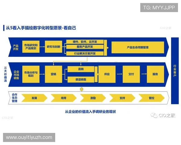 海星集团网址最新版本上线助力企业数字化转型战略实施