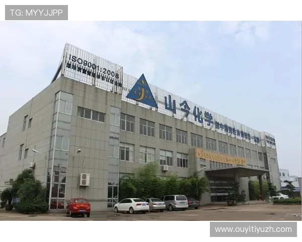 速发国际365全球网络布局，助推企业国际化快速发展